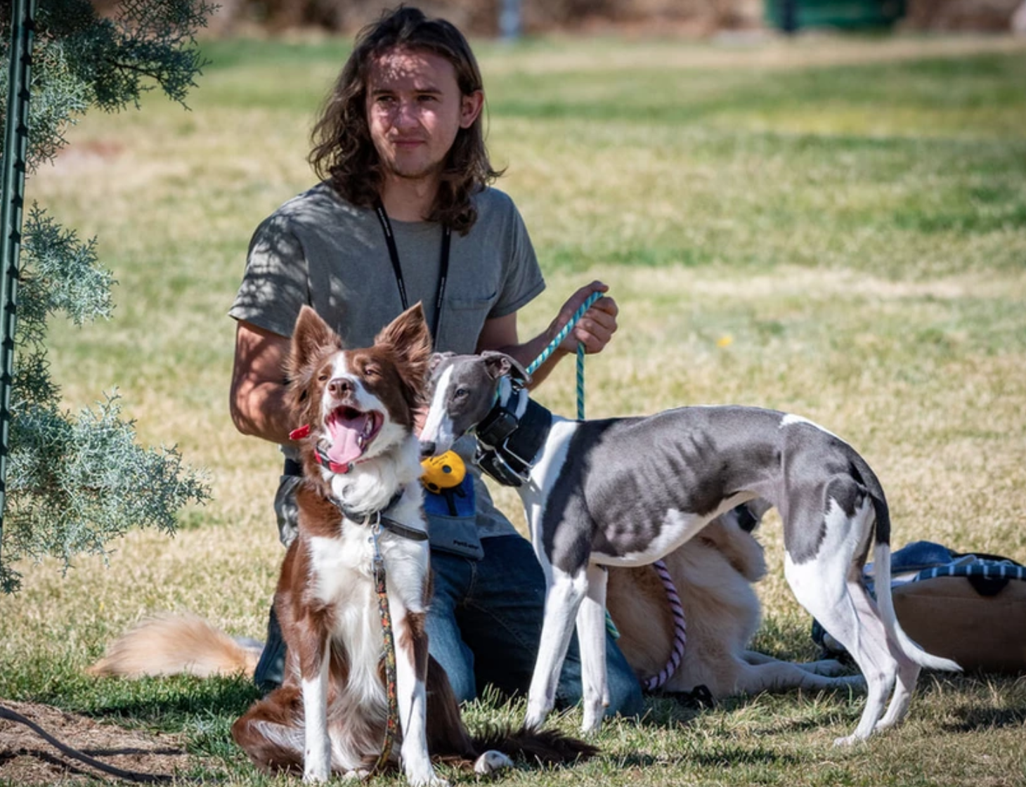Oliver Dog Training Center Now Includes Distance Learning Dog Training via Zoom with In-Person Local Training - Vimarsana News