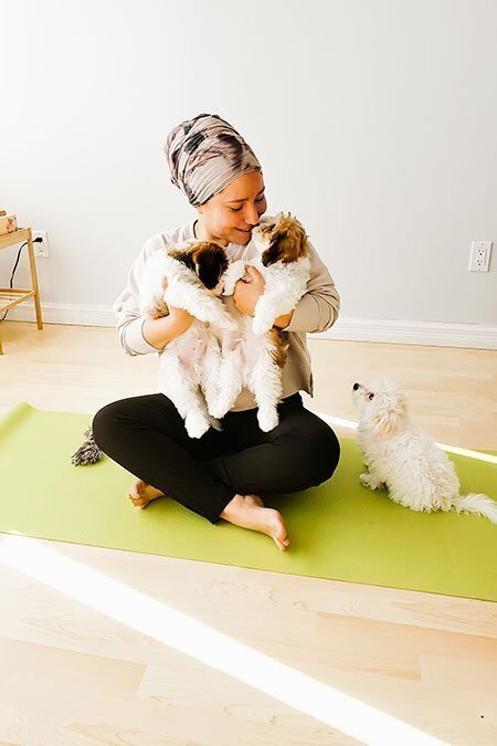 Yoga Kawa Brings Their Popular Puppy Yoga Events To Toronto On Oct 23rd - Vimarsana News