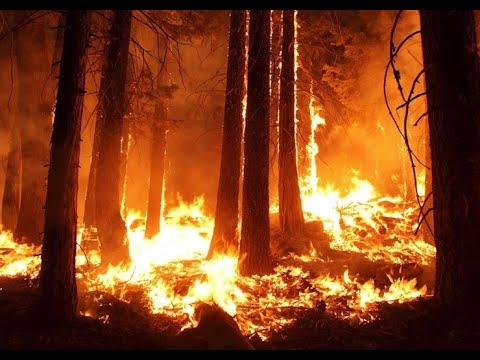 Photo of Camfil Video Explains – What Filters Does an Air Filtration Professional Use During Wildfires?