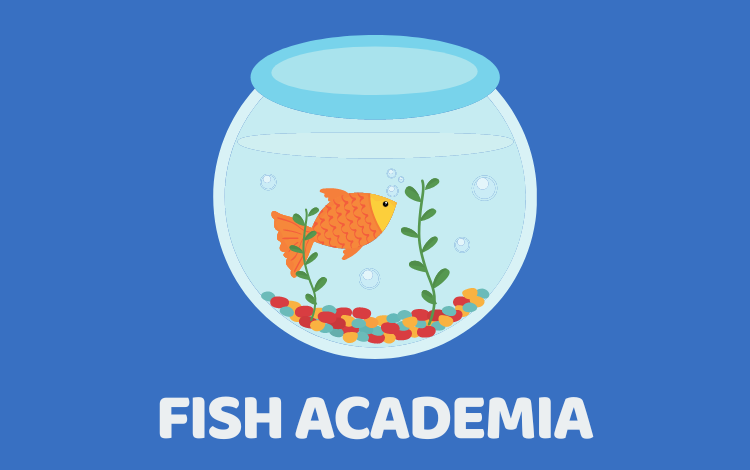 Photo of Introducing Fish Academia: The Ultimate Fishkeeping Resource
