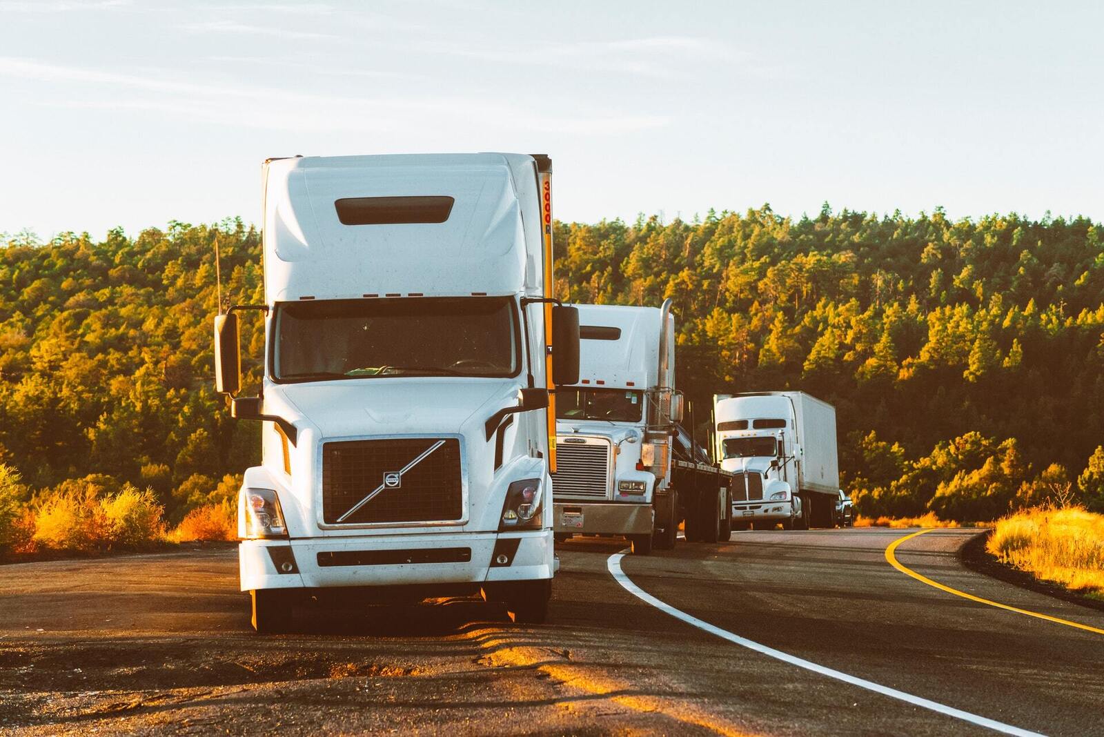 Champion Movers Announces Two New Service Areas - Vimarsana News