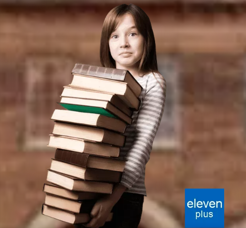 Photo of The Eleven Plus Tutors In Colchester Now Offers Tuition Services In Colchester
