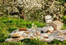 Photo of Crafting the Perfect Picnic: Elevating Your Al Fresco Dining Experience