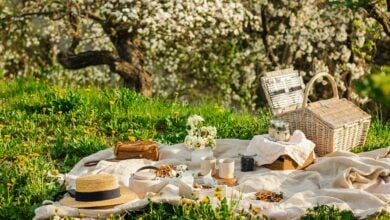 Photo of Crafting the Perfect Picnic: Elevating Your Al Fresco Dining Experience