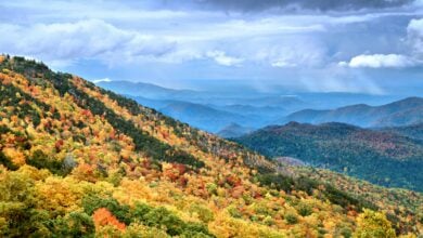 Photo of Autumn Elevation: The Best Fall Activities to Try in a Mountain Town