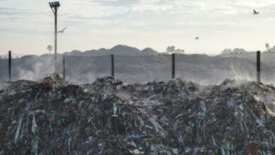 Photo of Shrinking the Scrap Pile: How to Use Precision Measuring Tools to Eliminate Manufacturing Waste