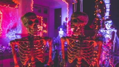 Photo of Creative Ways to Use Gabions in Your Exterior Halloween Decor