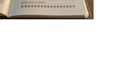 Photo of Why Passport Revocation Does Not Automatically Mean Deportation